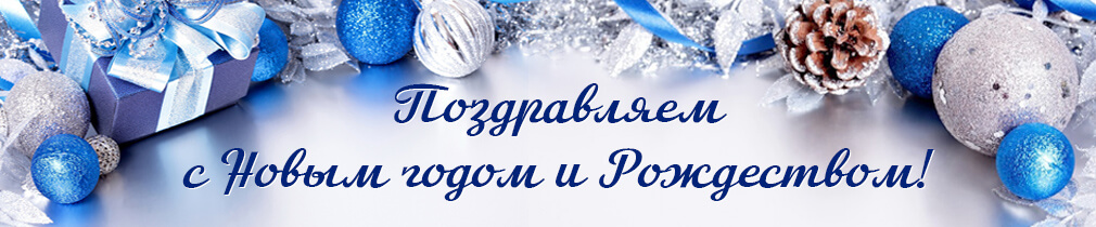 Поздравляем с Новым Годом! Поздравляем с Новым Годом!